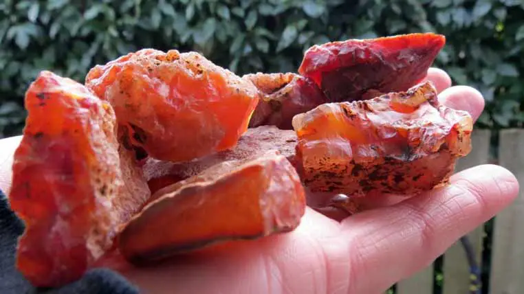A Guide to Carnelian’s Mystical, Energetic, and Purifying Properties