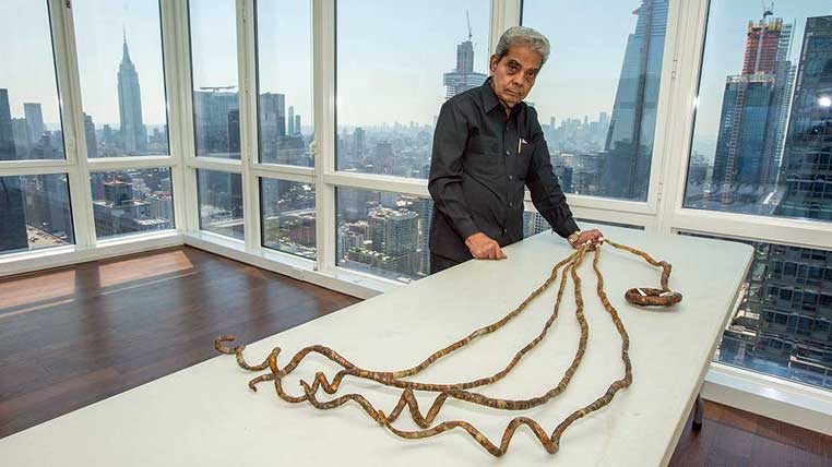 The Longest Nails in the World"