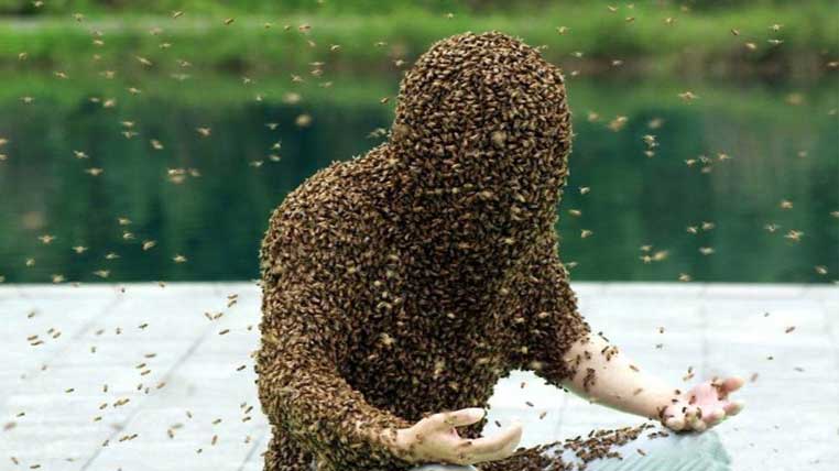 The Man Covered in Bees
