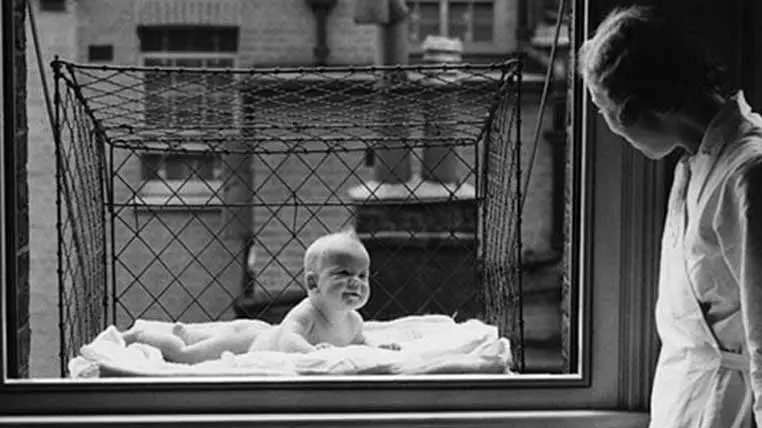 Urban Window Baby Cage