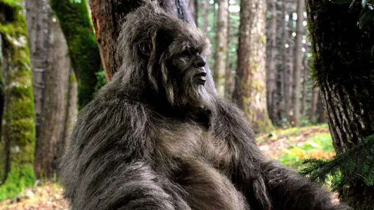 The Mysterious Almas: An Exploration of Central Asia’s Real-Life Bigfoot and the Quest to Uncover its Secrets