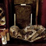 Journey into the Unknown with the Merrylin Cryptid Museum’s Encyclopedia Obscura